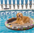 Inflatable Dog Pool Float