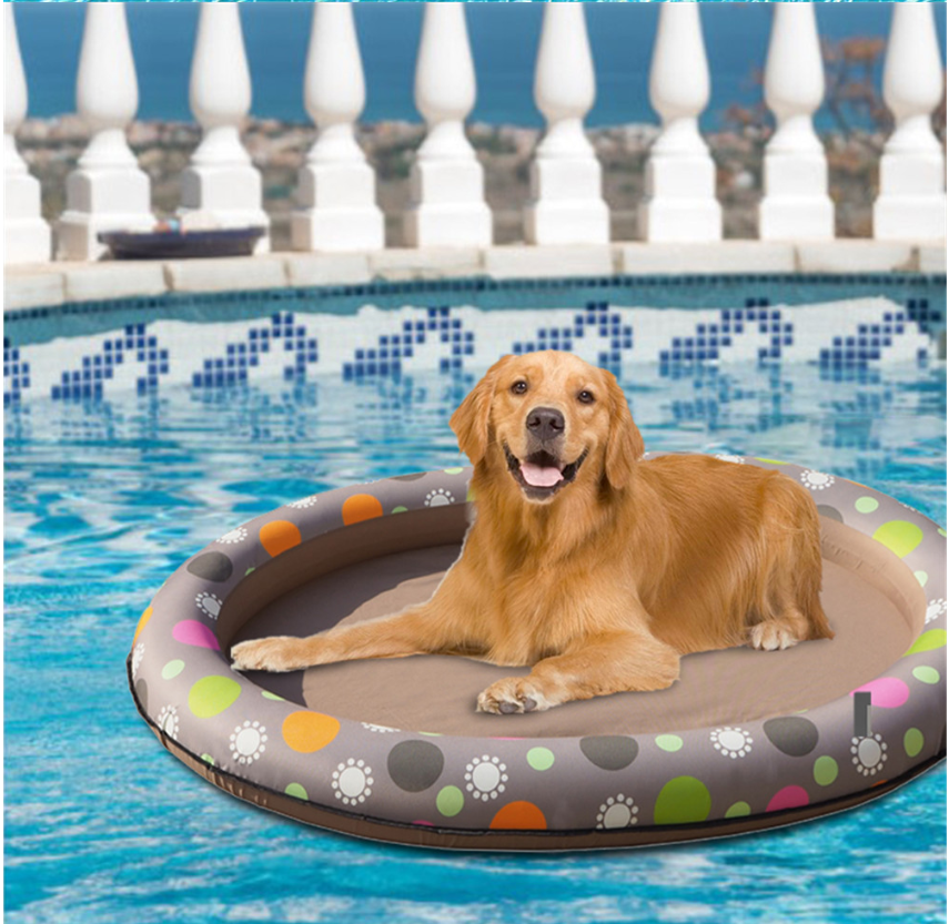 Inflatable Dog Pool Float