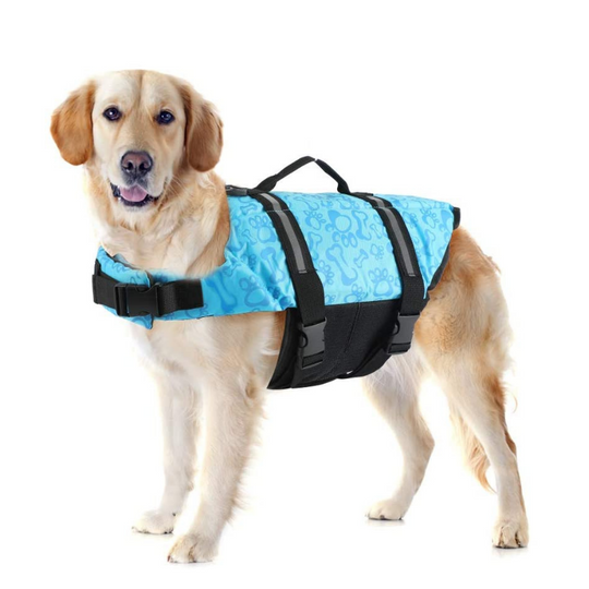 Paw Roll Developing Product